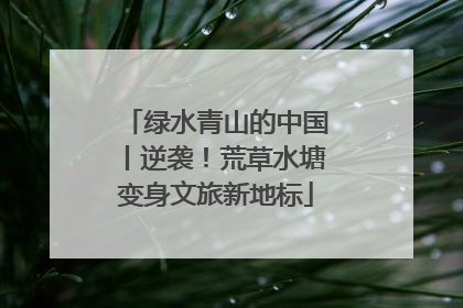 绿水青山的中国丨逆袭！荒草水塘变身文旅新地标