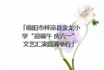 绵阳市梓潼县金龙小学“迎端午 庆六一”文艺汇演圆满举行