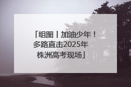 组图丨加油少年！多路直击2025年株洲高考现场