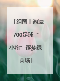 组图丨湘潭700足球“小将”逐梦绿茵场