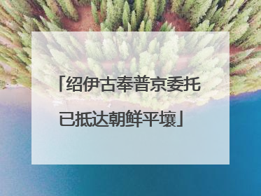 绍伊古奉普京委托已抵达朝鲜平壤