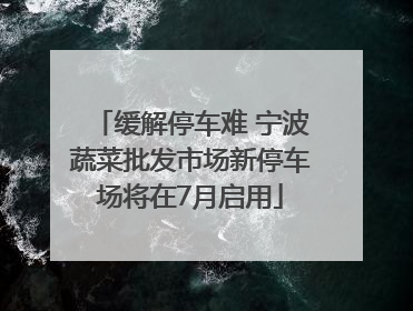 缓解停车难 宁波蔬菜批发市场新停车场将在7月启用