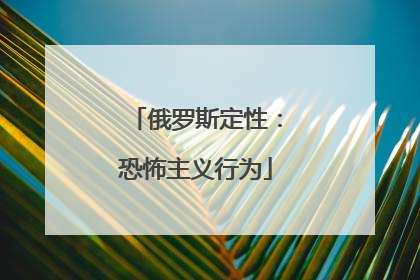 俄罗斯定性：恐怖主义行为
