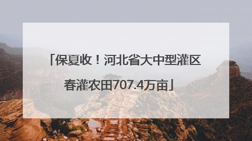 保夏收！河北省大中型灌区春灌农田707.4万亩