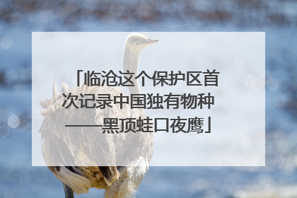 临沧这个保护区首次记录中国独有物种——黑顶蛙口夜鹰