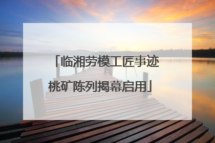 临湘劳模工匠事迹桃矿陈列揭幕启用