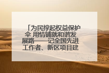 为民撑起权益保护伞 用情铺就和谐发展路——记全国先进工作者、新区项目建设中心干部卢小勇