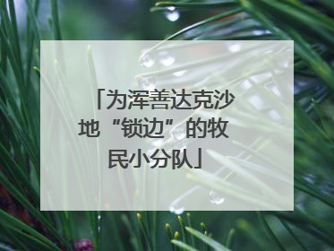 为浑善达克沙地“锁边”的牧民小分队