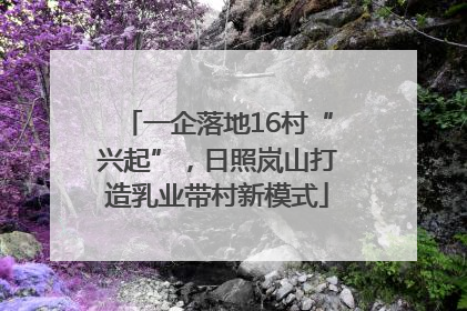 一企落地16村“兴起”，日照岚山打造乳业带村新模式