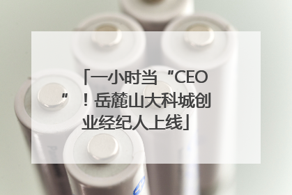 一小时当“CEO”！岳麓山大科城创业经纪人上线