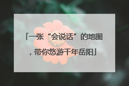 一张“会说话”的地图，带你悠游千年岳阳