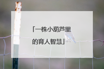 一株小葫芦里的育人智慧