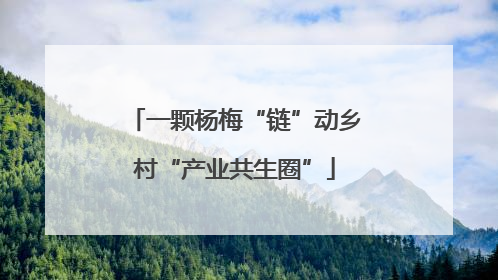 一颗杨梅“链”动乡村“产业共生圈”