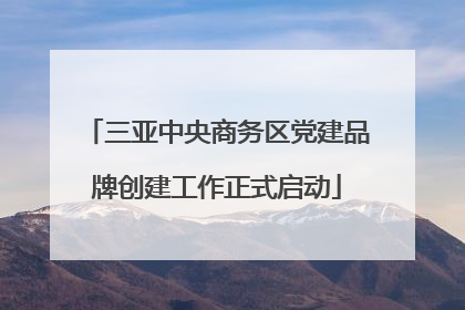 三亚中央商务区党建品牌创建工作正式启动