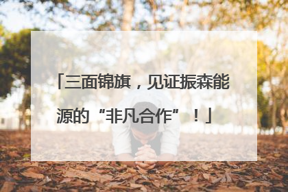 三面锦旗，见证振森能源的“非凡合作”！