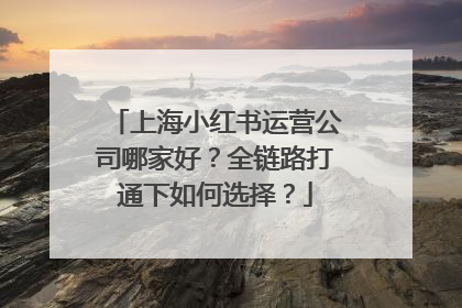 上海小红书运营公司哪家好？全链路打通下如何选择？