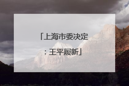 上海市委决定：王平履新