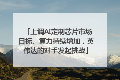 上调AI定制芯片市场目标、算力持续增加，英伟达的对手发起挑战