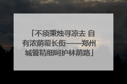 不须秉烛寻凉去 自有浓荫覆长街——郑州城管精细呵护林荫路