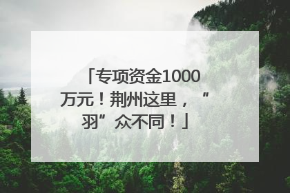 专项资金1000万元！荆州这里，“羽”众不同！