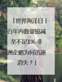 世界海洋日丨百年内数量锐减至不足1% 非洲企鹅为何迅速消失？