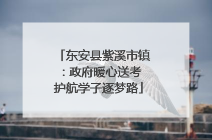 东安县紫溪市镇：政府暖心送考 护航学子逐梦路