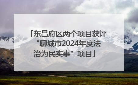 东昌府区两个项目获评“聊城市2024年度法治为民实事”项目