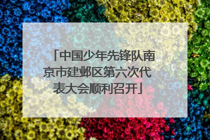 中国少年先锋队南京市建邺区第六次代表大会顺利召开