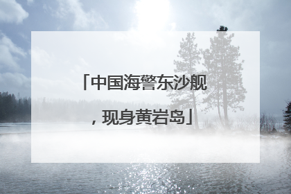 中国海警东沙舰，现身黄岩岛