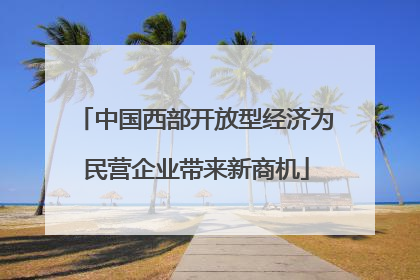中国西部开放型经济为民营企业带来新商机