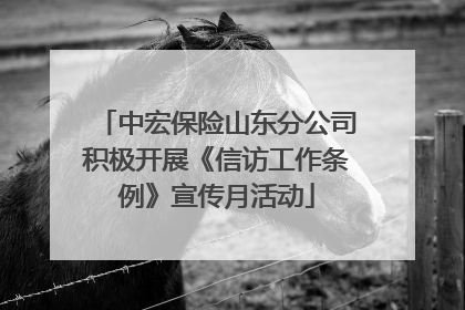 中宏保险山东分公司积极开展《信访工作条例》宣传月活动