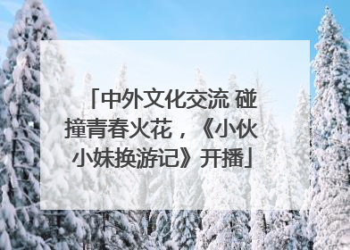 中外文化交流 碰撞青春火花，《小伙小妹换游记》开播