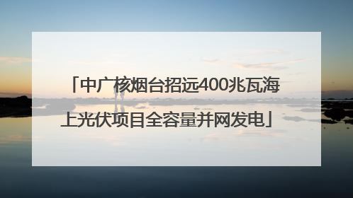 中广核烟台招远400兆瓦海上光伏项目全容量并网发电