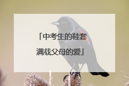 中考生的鞋套 满载父母的爱