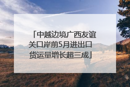 中越边境广西友谊关口岸前5月进出口货运量增长超三成