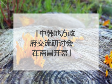 中韩地方政府交流研讨会在南昌开幕