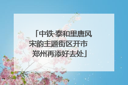 中铁·泰和里唐风宋韵主题街区开市 郑州再添好去处