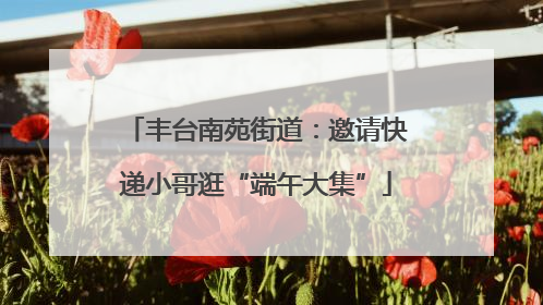 丰台南苑街道：邀请快递小哥逛“端午大集”