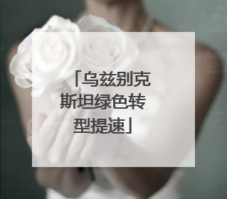 乌兹别克斯坦绿色转型提速