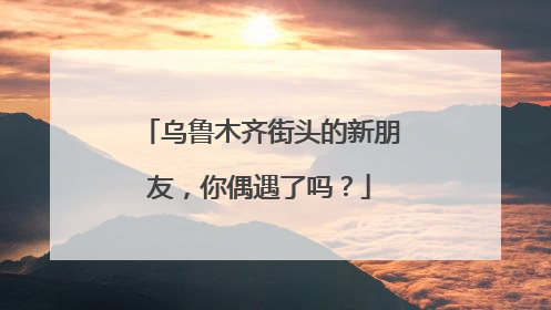 乌鲁木齐街头的新朋友，你偶遇了吗？