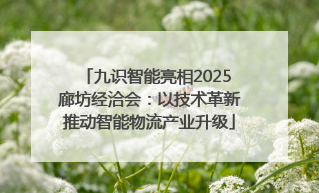 九识智能亮相2025廊坊经洽会：以技术革新推动智能物流产业升级