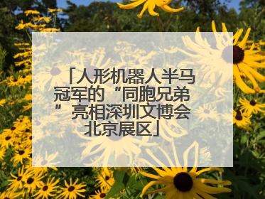 人形机器人半马冠军的“同胞兄弟”亮相深圳文博会北京展区