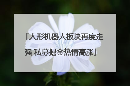 人形机器人板块再度走强 私募掘金热情高涨