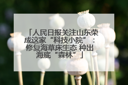 人民日报关注山东荣成这家“科技小院”：修复海草床生态 种出海底“森林”