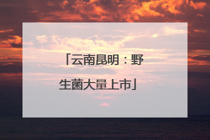 云南昆明：野生菌大量上市