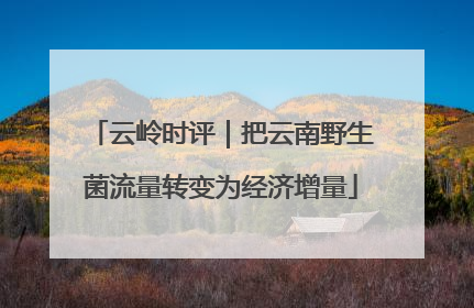 云岭时评｜把云南野生菌流量转变为经济增量
