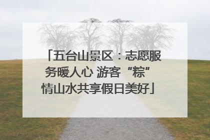 五台山景区：志愿服务暖人心 游客“粽”情山水共享假日美好