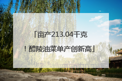亩产213.04千克！醴陵油菜单产创新高