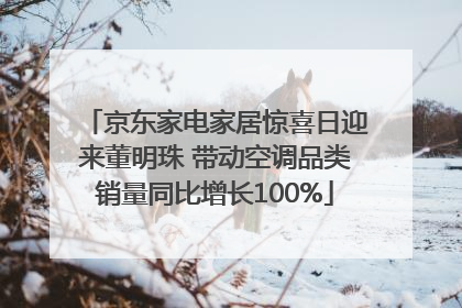 京东家电家居惊喜日迎来董明珠 带动空调品类销量同比增长100%