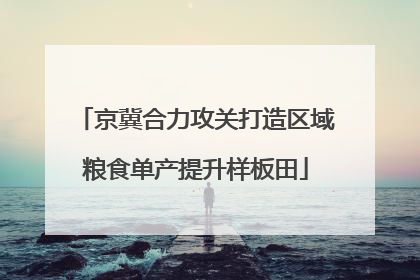京冀合力攻关打造区域粮食单产提升样板田